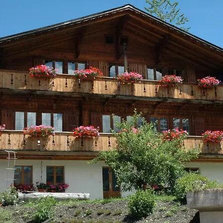 Ferienwohnung Uf Dr Liwwi Grindelwald Exterior photo